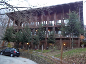 Pignola